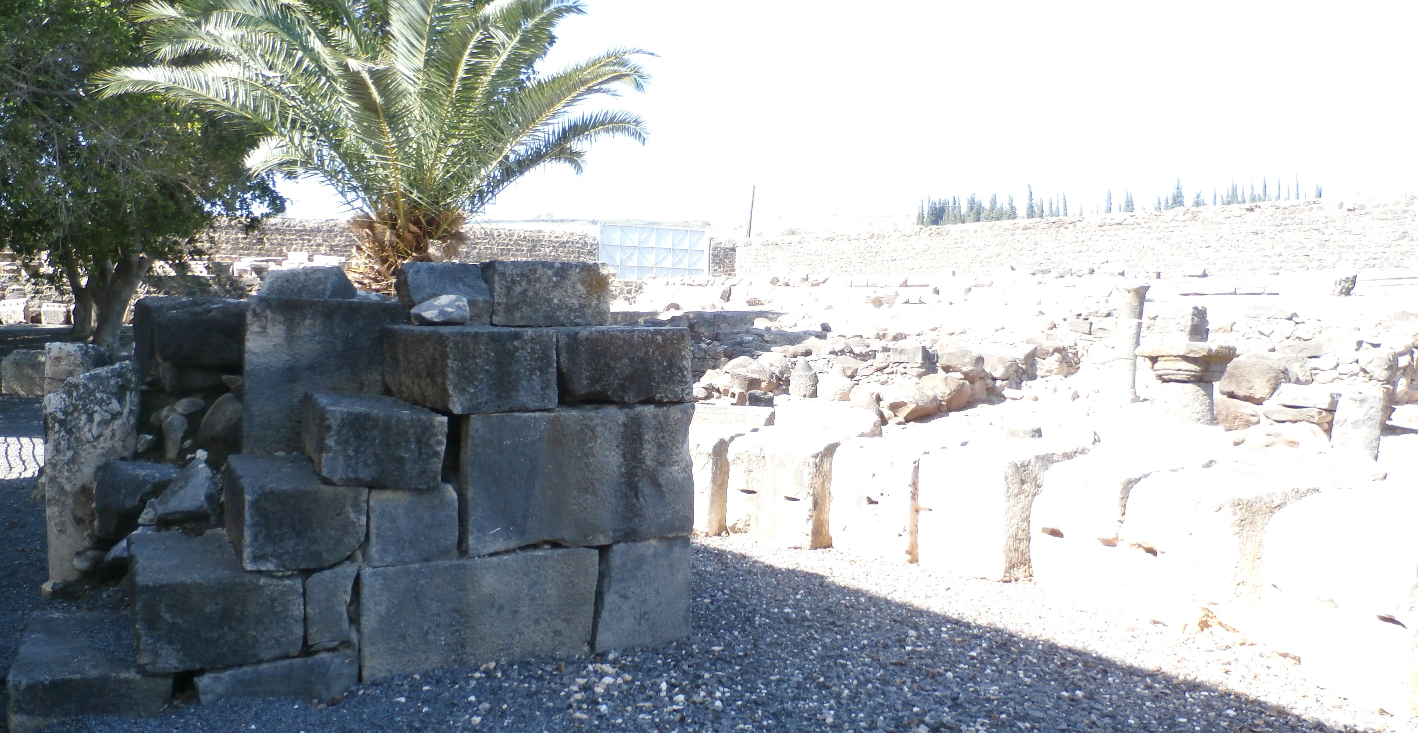 capernaum10.jpg