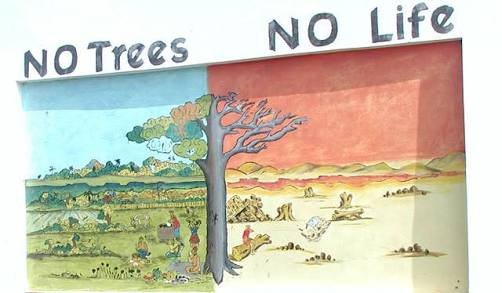 Essay on life without tree image