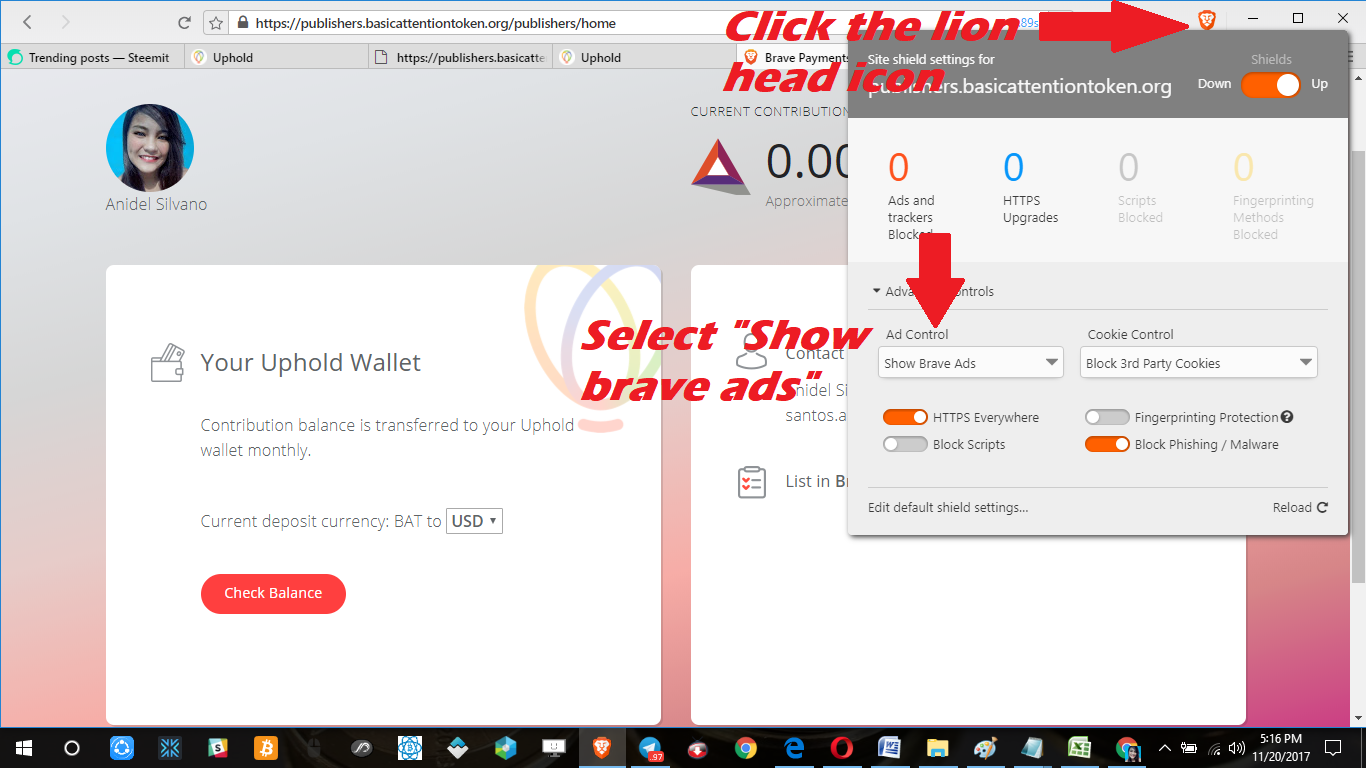Earning Cryptocurrency Using Brave And Bat - 