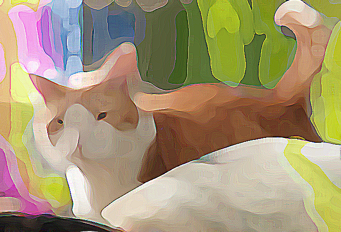 Screenshot_29.png