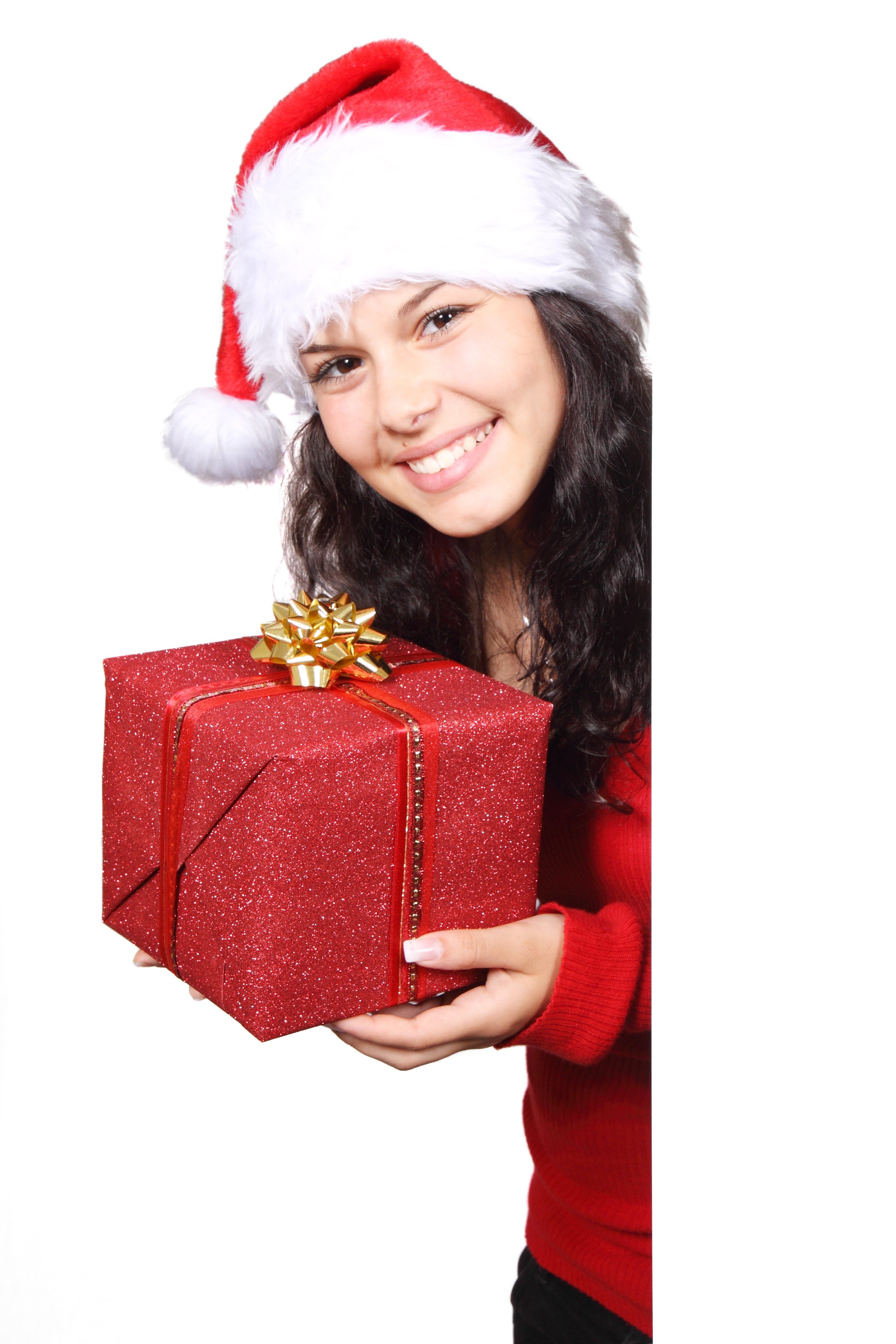 board-christmas-claus-female-41668.jpeg