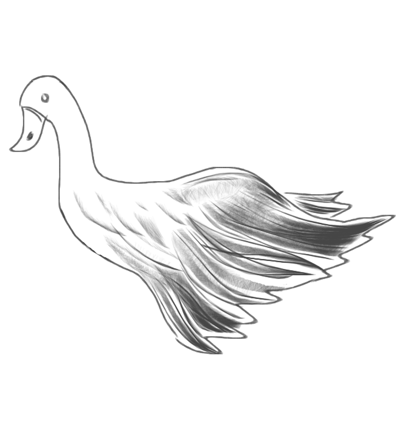 Wild Goose1.png