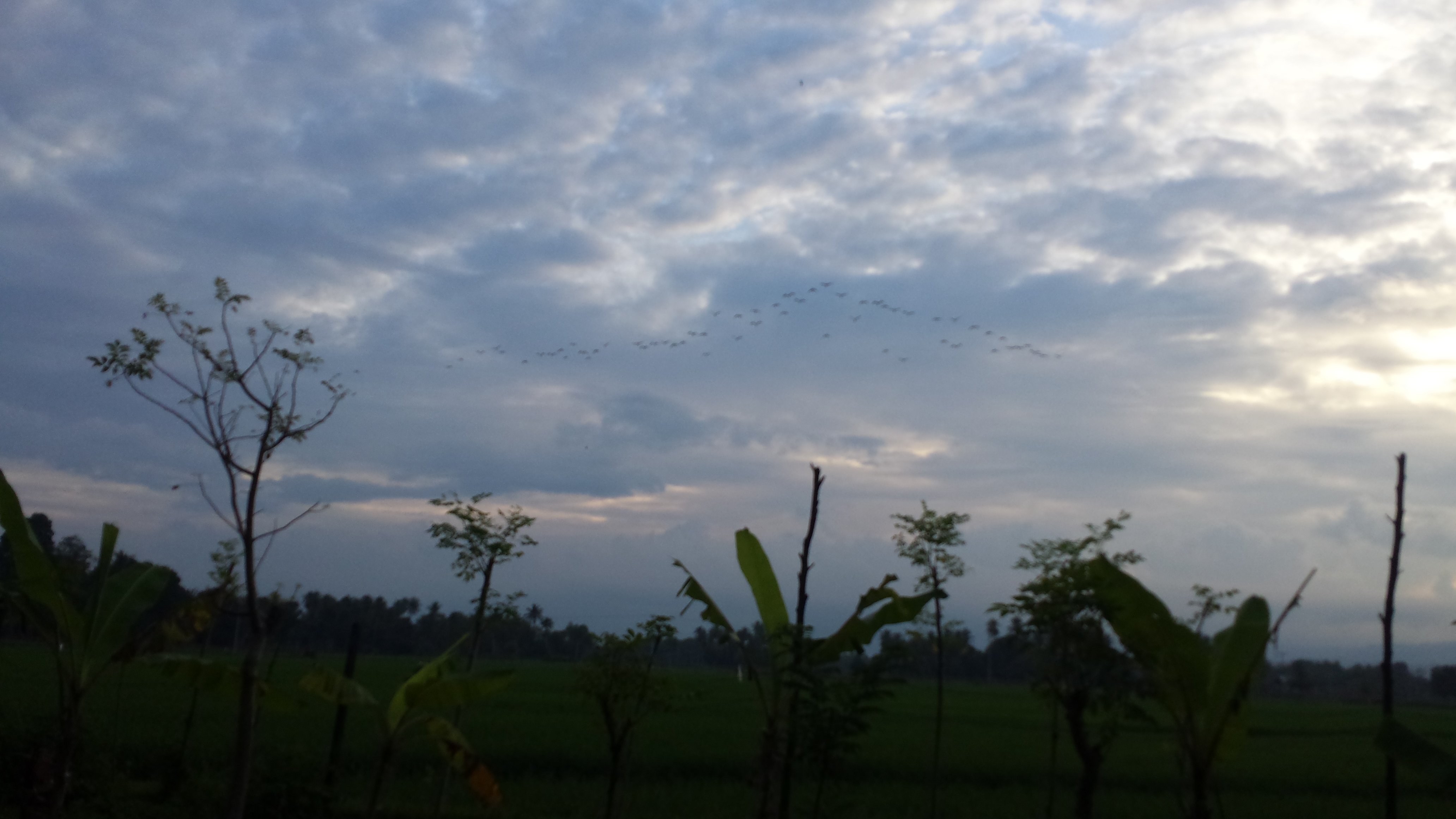 Pemandangan Yang Sangat Indah D Waktu Sore