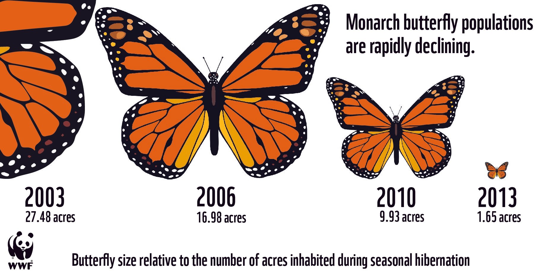 Image result for monarch extinctions