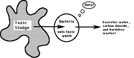 bacteria.gif