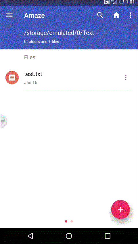 Amaze_InconsistentPasswordHiding.gif