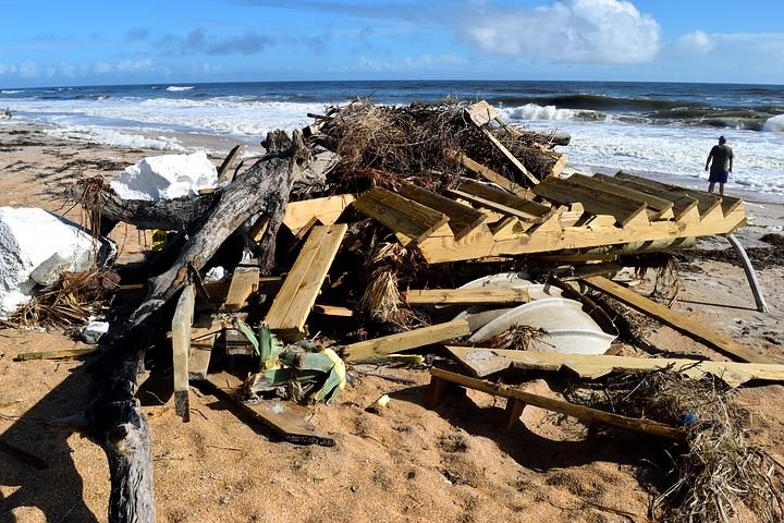 beach-debris-2864496__480.jpg