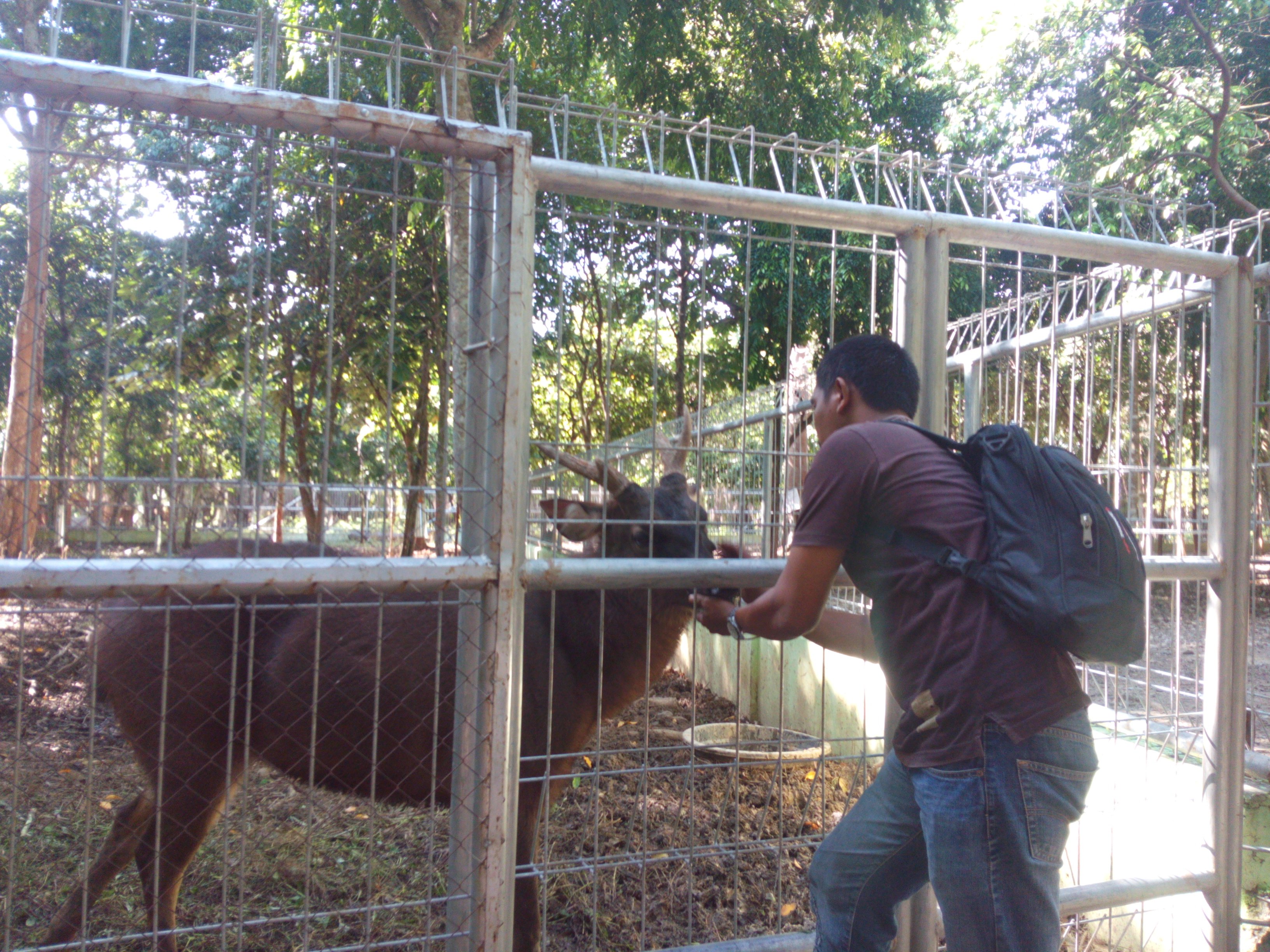 Kenapa Lokasi Tempat Wisata Di Kabupaten Aceh Timur Di Tutup