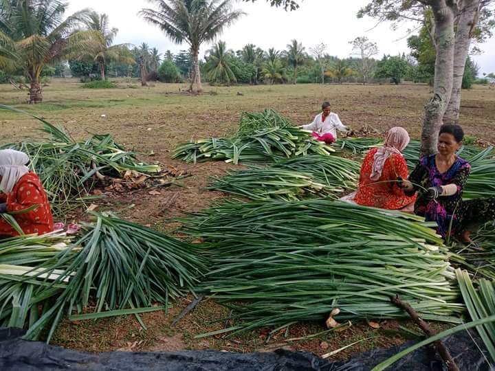 Kerajinan Dari Daun Pandan 