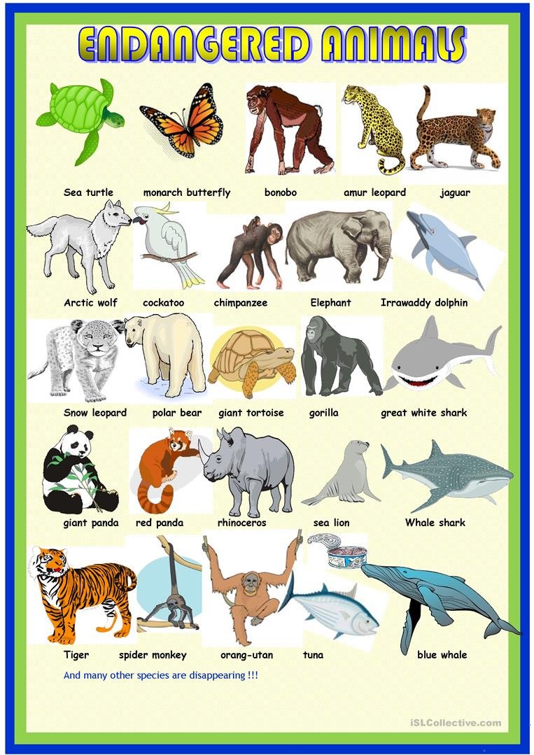 for kindergarten worksheet of hindi Extinct Animals Steemit â€” Endangered and