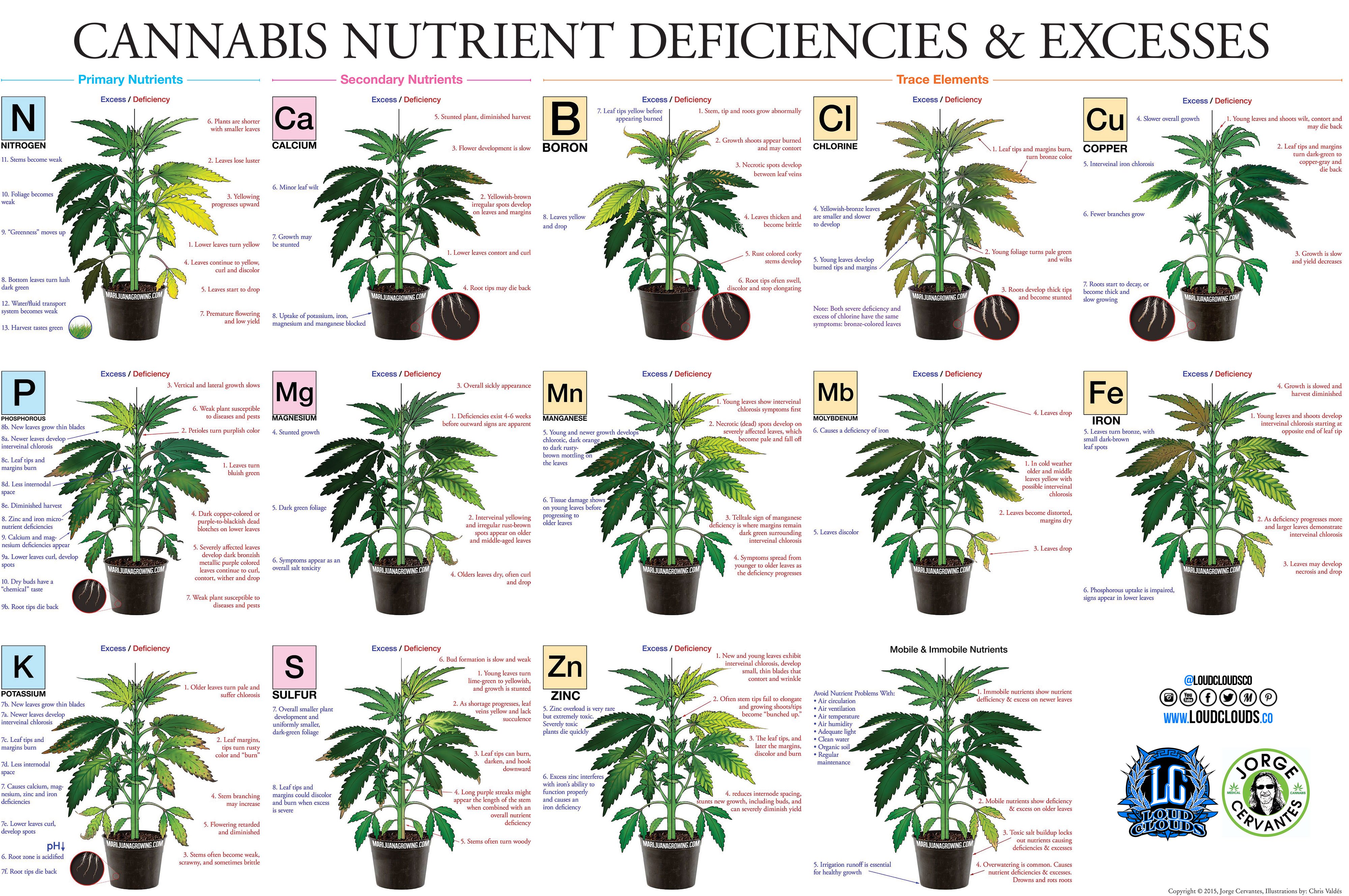 Deficiency Chart Of Plant Nutrients