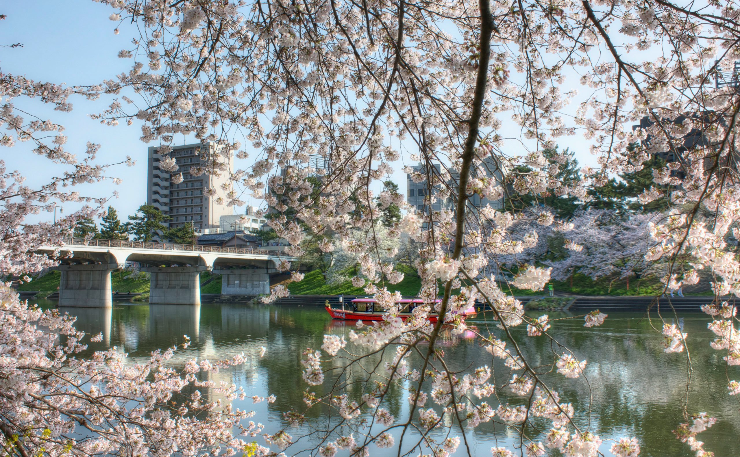 River_Boat_And_Sakura.jpg