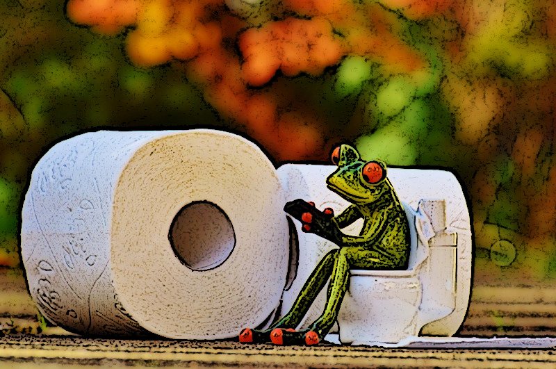 TOILET FROG.jpg