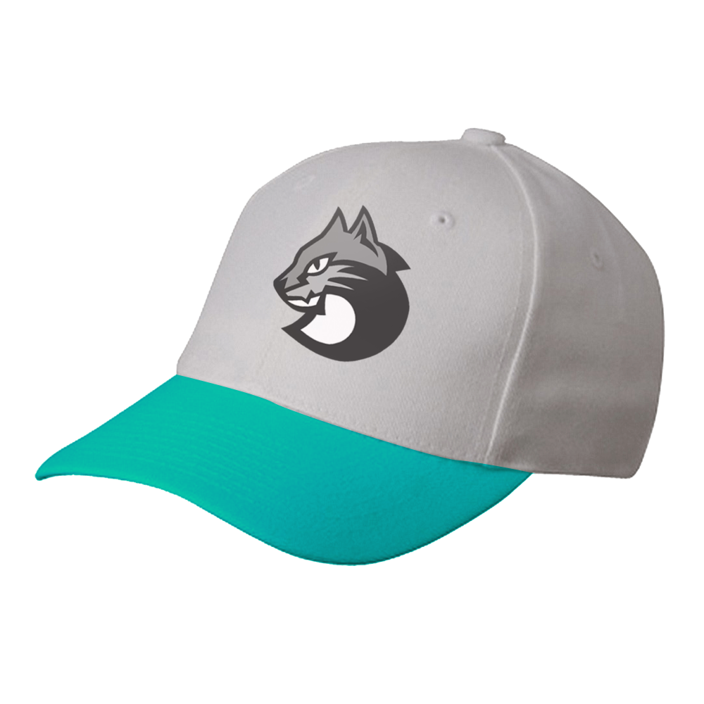 ballcap2.png