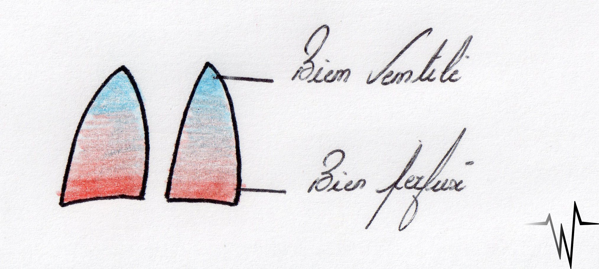 Schéma 3.jpg