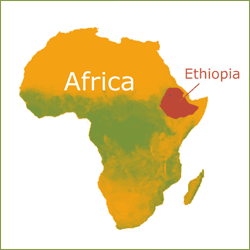 africa.gif