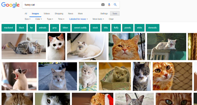 google result.png