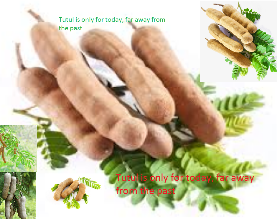 Just New Post Where Is It Suitable For Tetul What Are The Benefits Of Tetula S Benefits All City Which Means The Date Of Bharti Of The World Is Acknowledging The Recognition And Just New Post Where Is It Suitable For Tetul What Are The Benefits Of Tetula S Benefits All City Which Means The Date Of Bharti Of The World Is Acknowledging The Recognition And