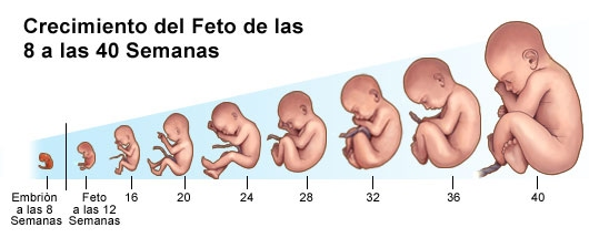 How Do Babies See At 3 Weeks Old