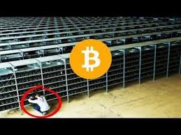 Busy Bitcoin Mining The Highest Paying Bitcoin Mining Pool And Cloud - 