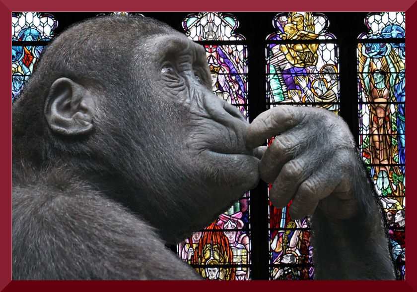 religious ape.png