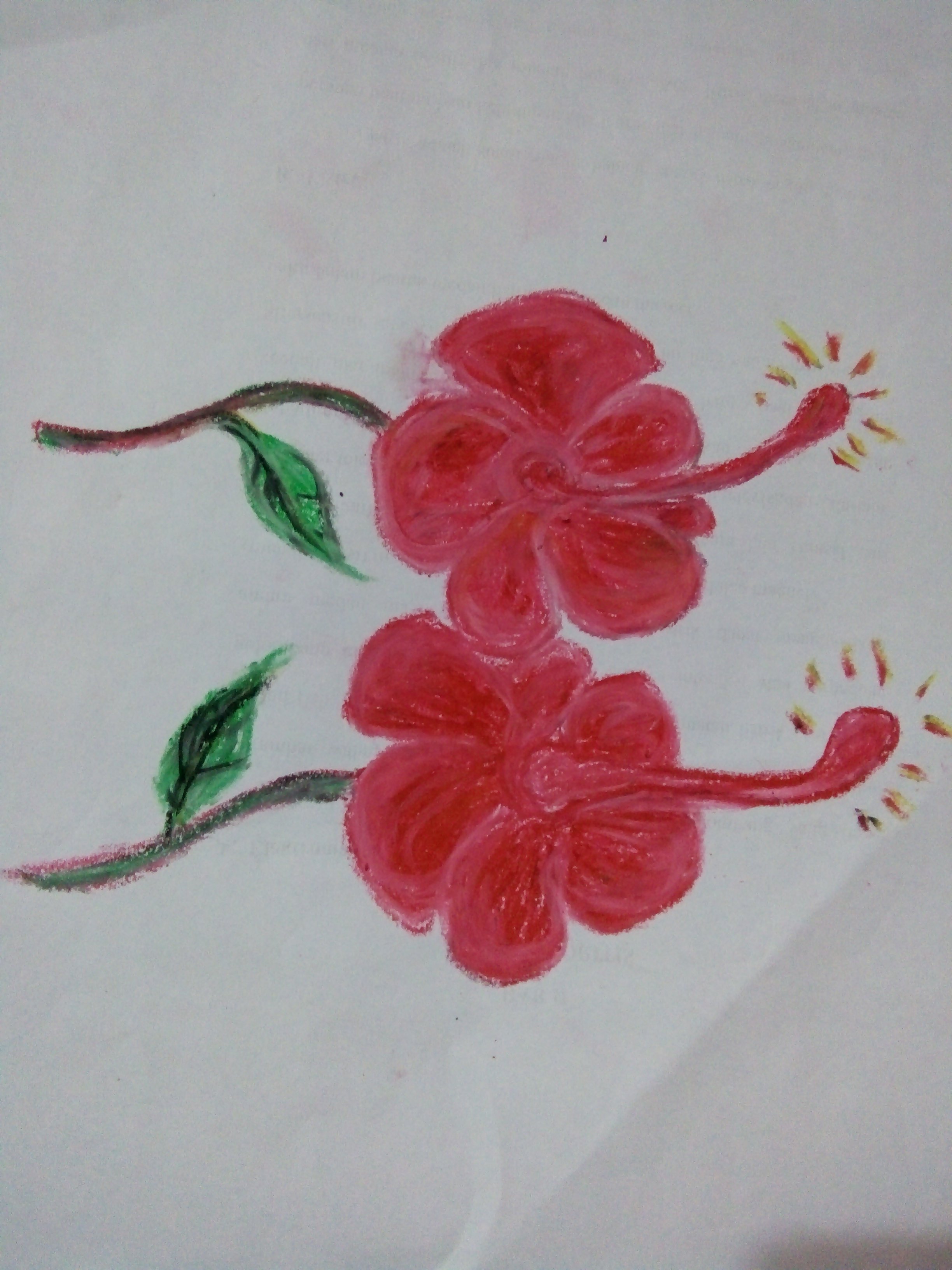 cara dan hasil seni lukis dengan objek bunga Kembang sepatu