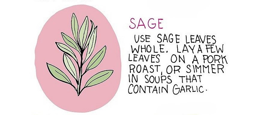 sage 3.jpg