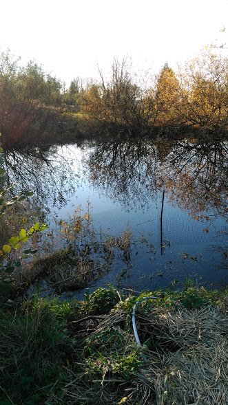 pond is full.jpg