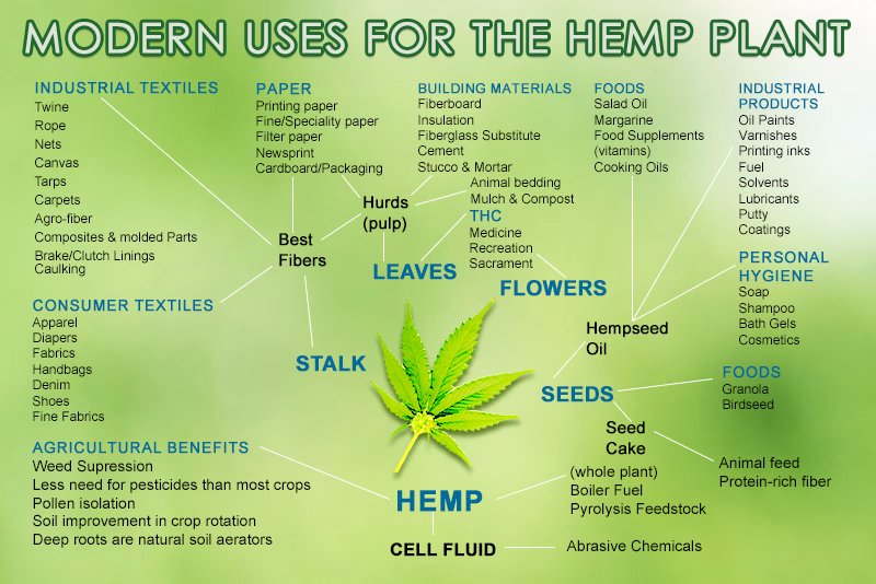 hemp uses.jpg