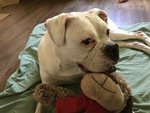 IMG_0311.jpg