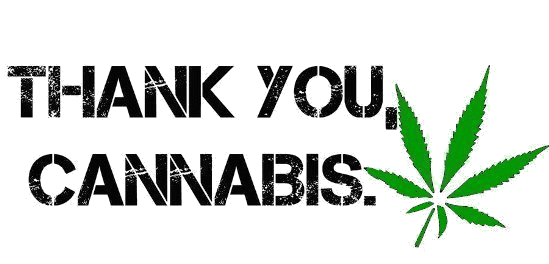 thankyoucannabis.gif