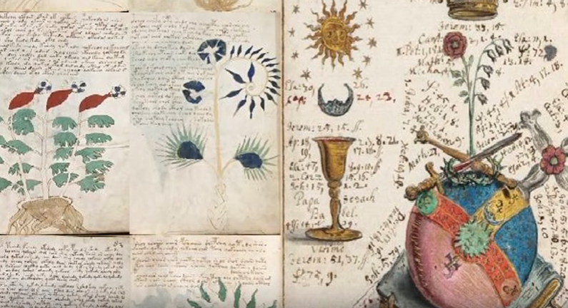 Voynich Manuscript.png