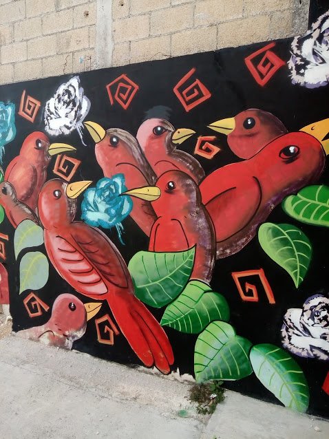 street art birds.jpg