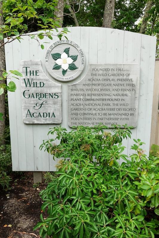 Wild Gardens Of Acadia Part 2 Of 2