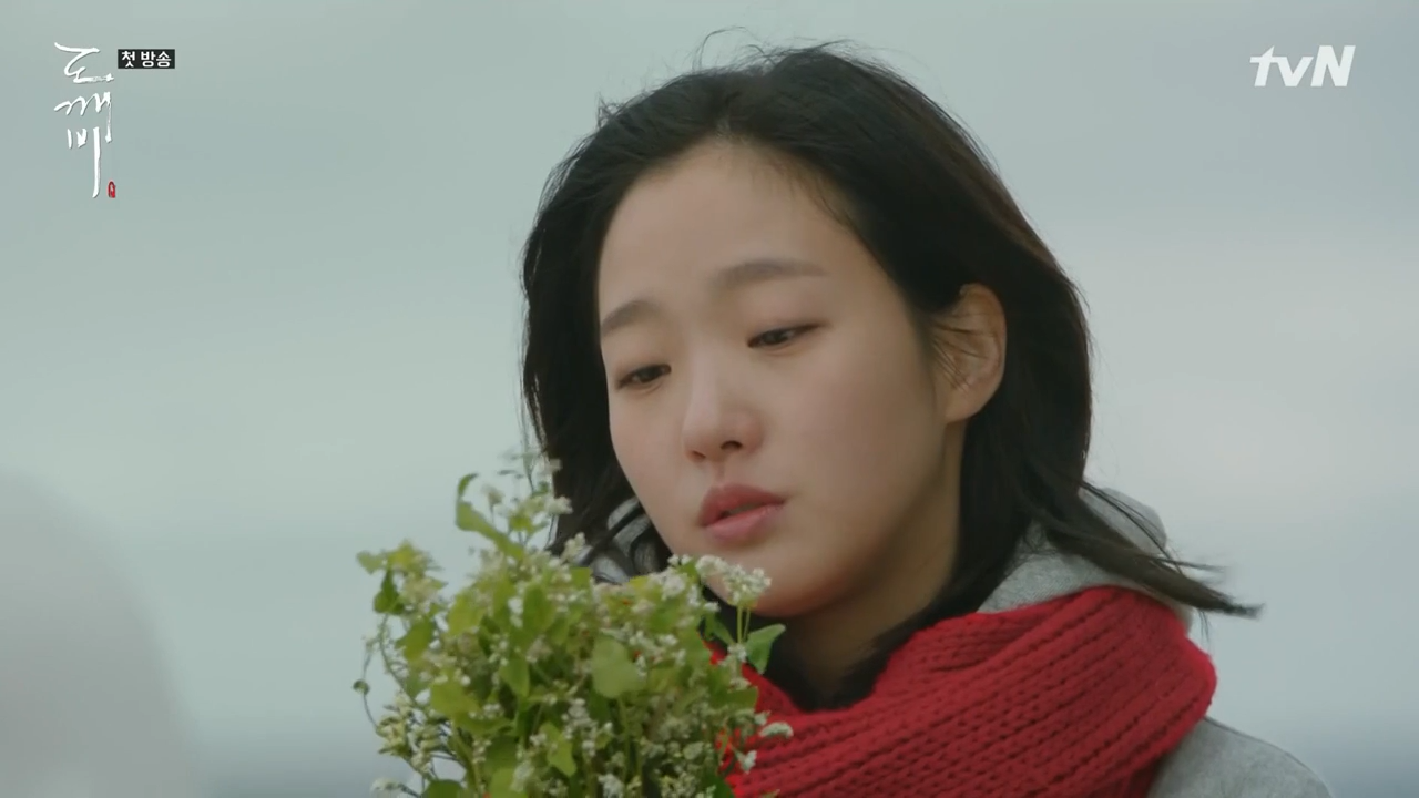 Buckwheat Flower Meaning In Korea Best Flower Site