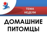 Домашние питомцы.jpg