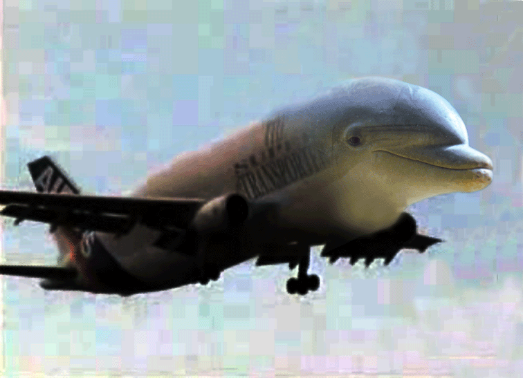a1710020-73-Flying-Beluga-Dolphin.gif
