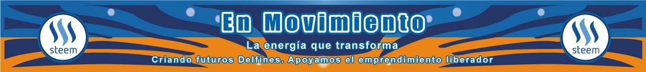 piedepagina_enmovimiento