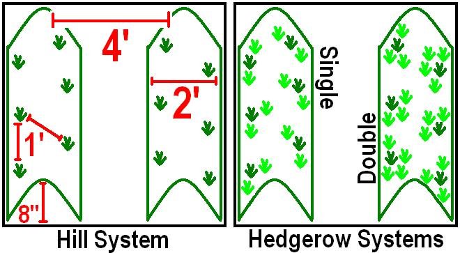 strawberry hill system.jpg