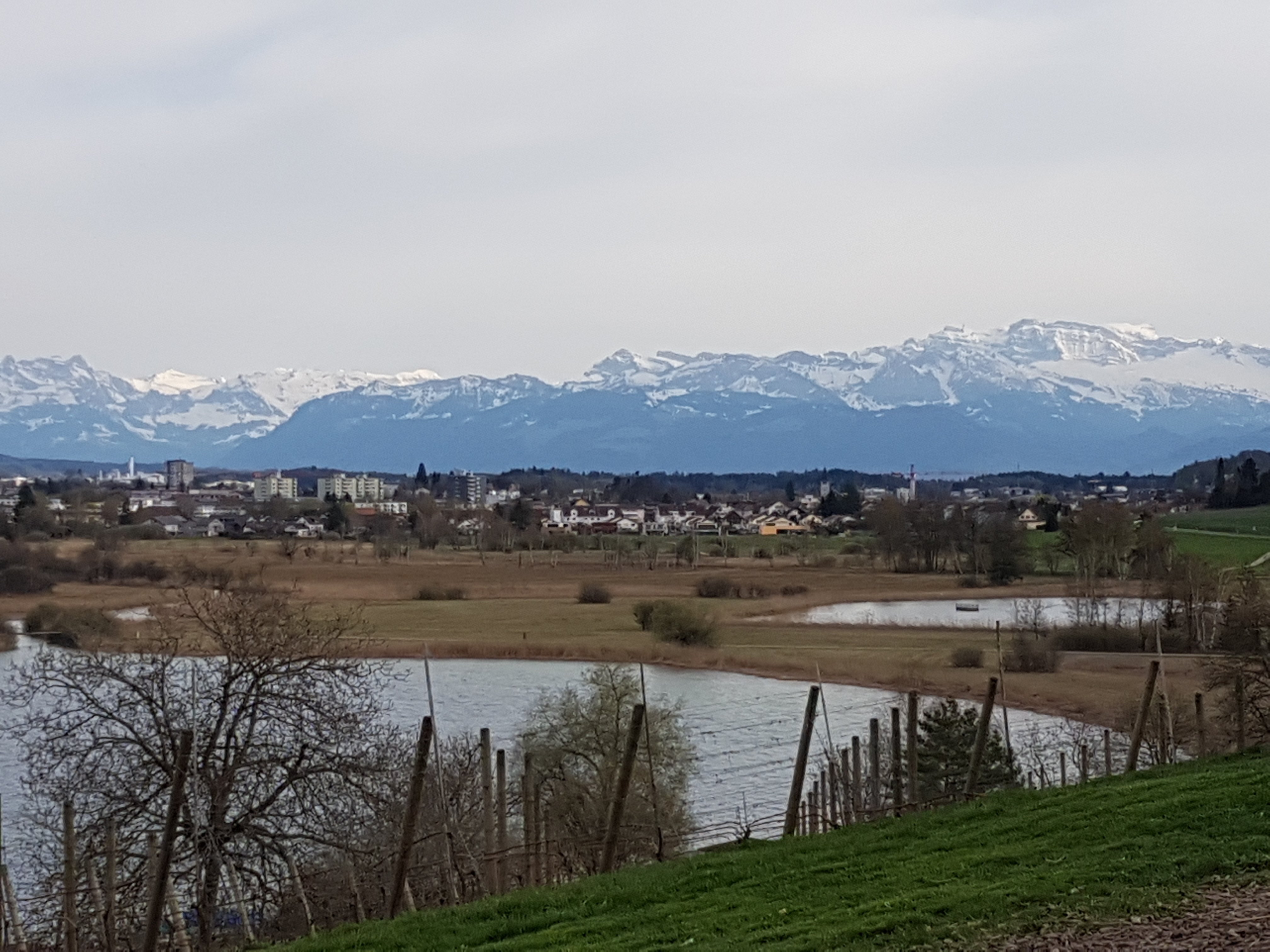 Pfäffikersee