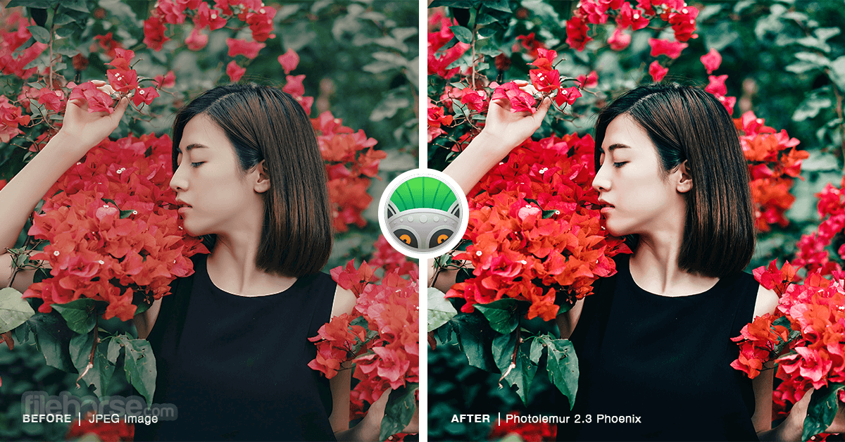 photolemur-screenshot-01.png