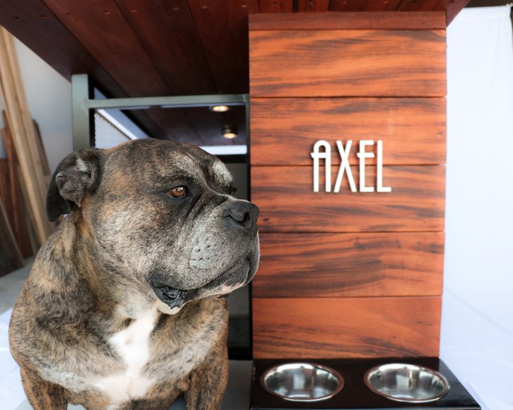 DOG HAUS WHITE CLOSE UP.jpg