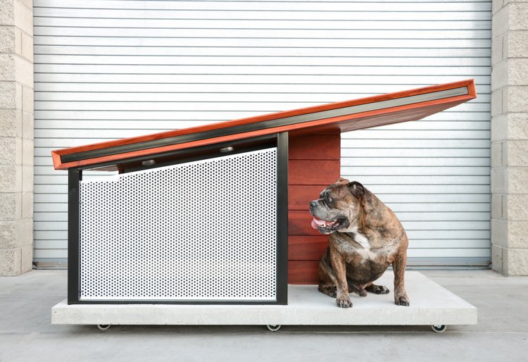 DOG HAUS OUTDOOR 1.jpg
