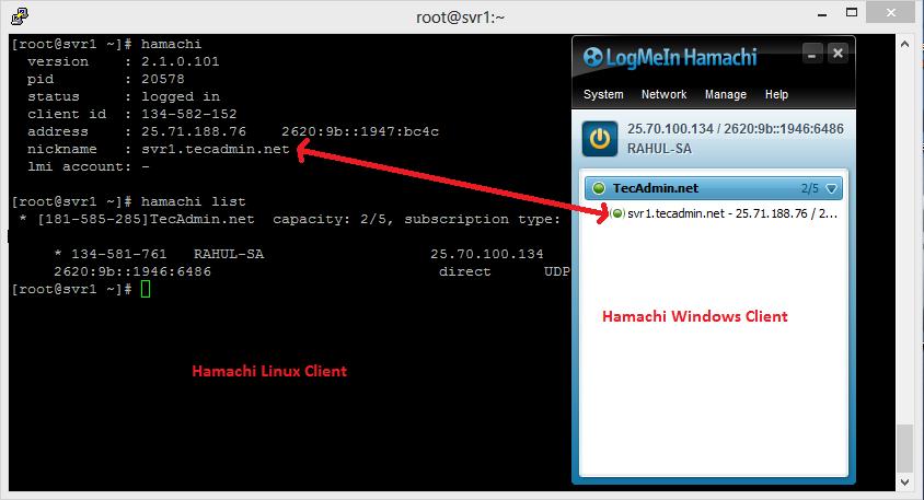 make hamachi private network windows 10