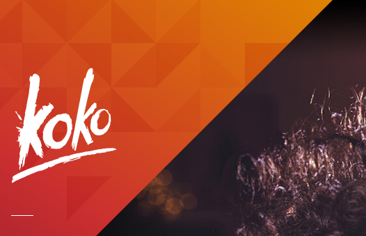 koko.png