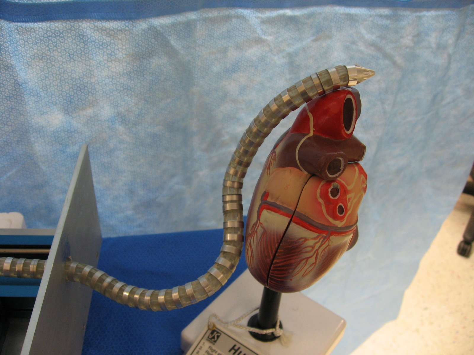 medicalsnake.jpg