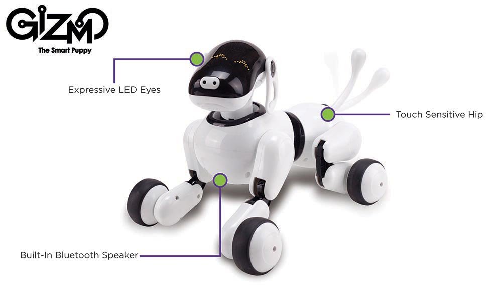 gizmo robot dog