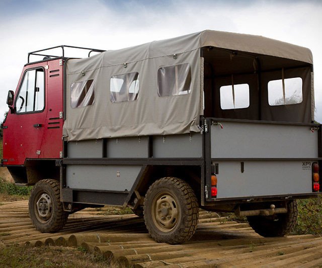 ox-2.jpg
