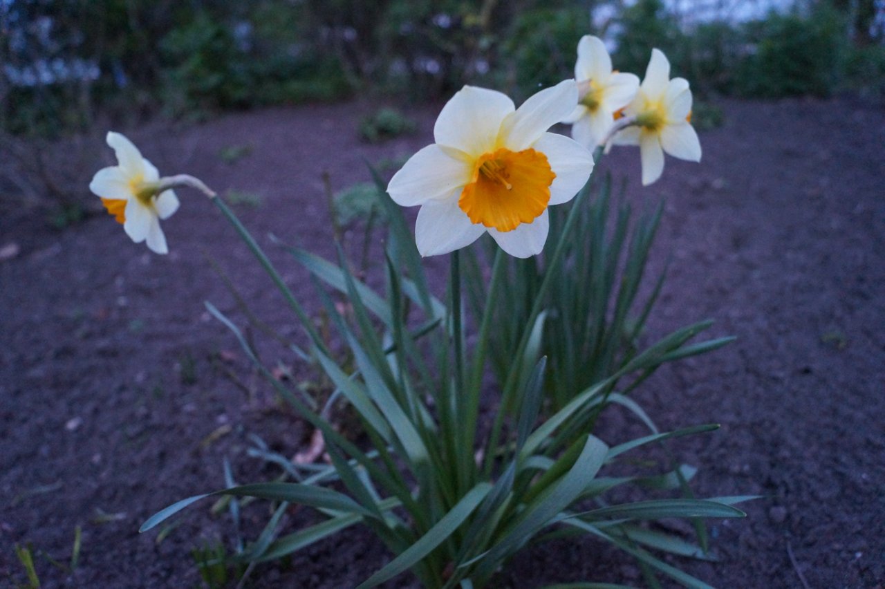 DSC00177.JPG