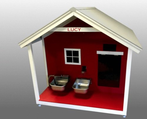 Doghouse.jpg